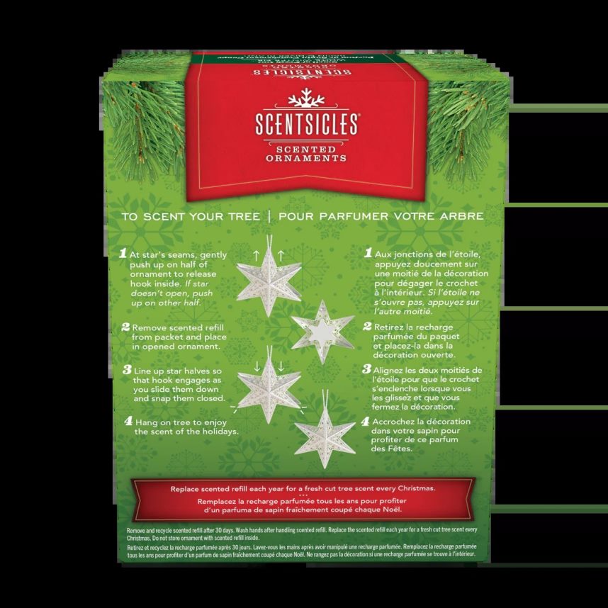 decoration | National Tree Company Scentsicles Decorative Ornament Metal White Star White Winter Fir with Refill F2L4F548